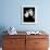 Brenda Marshall and Her Husband William Holden-null-Framed Photo displayed on a wall