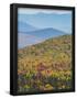 Essential Black