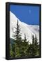 Essential Black