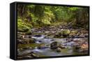 Canvas Black