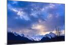 Wood Mount