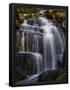 Essential Black