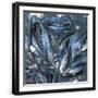Black Frame
