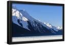 Essential Black
