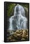 Essential Black
