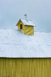 Yellow Cupula-Brenda Petrella Photography LLC-Giclee Print