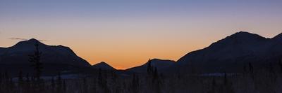 Yukon Winter Light-Brenda Petrella Photography LLC-Giclee Print