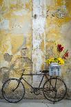 Cuba, Havana. Bicycle with Flowers Leaning Against a Decaying Wall-Brenda Tharp-Photographic Print