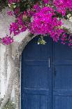 Greece, Santorini. Weathered blue door is framed by bright pink Bougainvillea blossoms.-Brenda Tharp-Photographic Print