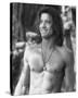 Brendan Fraser-null-Stretched Canvas