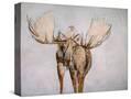 Stretched Canvas