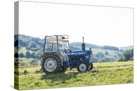 Brensbach, Hessen, Germany, Ford 2600, 34 Hp-Bernd Wittelsbach-Stretched Canvas