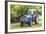 Brensbach, Hessen, Germany, Ford 2600, 34 Hp-Bernd Wittelsbach-Framed Photographic Print