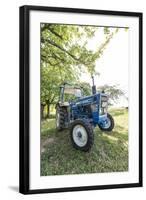 Brensbach, Hessen, Germany, Ford 2600, 34 Hp-Bernd Wittelsbach-Framed Photographic Print