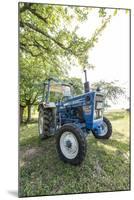 Brensbach, Hessen, Germany, Ford 2600, 34 Hp-Bernd Wittelsbach-Mounted Photographic Print