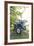 Brensbach, Hessen, Germany, Ford 2600, 34 Hp-Bernd Wittelsbach-Framed Photographic Print