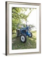 Brensbach, Hessen, Germany, Ford 2600, 34 Hp-Bernd Wittelsbach-Framed Photographic Print