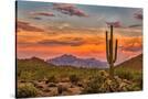 Stretched Canvas