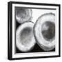 Black Frame