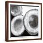 Brown Frame