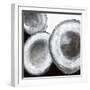 White Frame