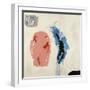White Frame