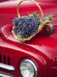 Lavender Bunches Rest on an Old Farm Pickup Truck, Washington, USA-Brent Bergherm-Photographic Print