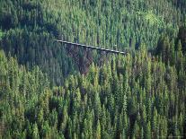 Old Train Trestle, Hiawatha Bike Trail, Idaho, USA-Brent Bergherm-Photographic Print