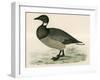 Brent Goose-Beverley R. Morris-Framed Giclee Print