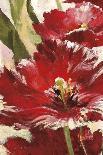 Jubilant Red Tulip Panel 1-Brent Heighton-Art Print