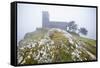 Brent Tor church in early morning fog, North Brentor, Dartmoor National Park, Devon, England-Stuart Black-Framed Stretched Canvas