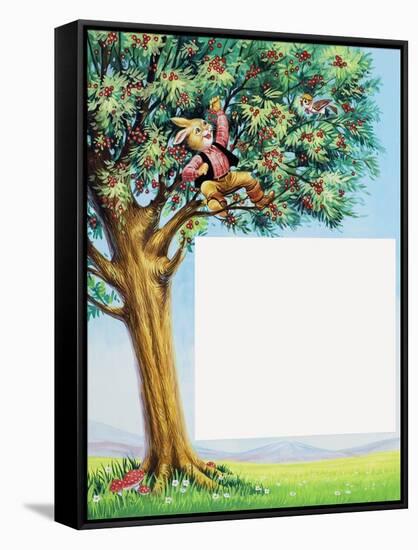 Brer Rabbit in Cherry Tree-Henry Charles Fox-Framed Stretched Canvas