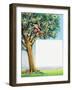 Brer Rabbit in Cherry Tree-Henry Charles Fox-Framed Giclee Print