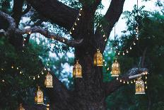 Night Wedding Ceremony with a Lot of Candles and Vintage Lamps on Big Tree-Breslavtsev Oleg-Photographic Print