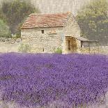 Tuscan Lavender-Bret Staehling-Art Print