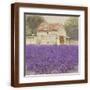 Brown Frame