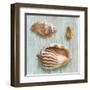 Bretagne II-Ted Broome-Framed Art Print