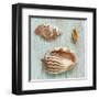 Bretagne II-Ted Broome-Framed Art Print