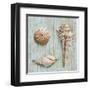 Bretagne III-Ted Broome-Framed Art Print