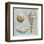 Bretagne III-Ted Broome-Framed Art Print