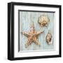 Bretagne IV-Ted Broome-Framed Art Print