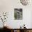 Breton Flag in the Old Walled Town of Concarneau, Southern Finistere, Brittany, France, Europe-Amanda Hall-Photographic Print displayed on a wall