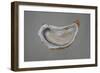 Breton Oyster 1-Lincoln Seligman-Framed Giclee Print