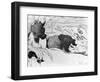 Breton Washerwomen, 1889 (Zincograph on Paper) (B/W Photo)-Paul Gauguin-Framed Giclee Print