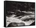 Canvas Black