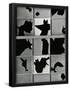 Essential Black