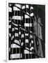 Gramercy White