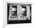 Gramercy White