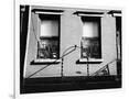 Gramercy White