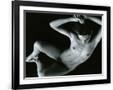 Gramercy Black